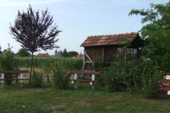 20110722_1427085912_aratas-2011-07-09-fazekasne-169