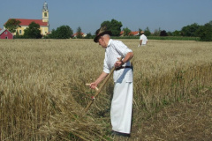 20110722_1795939220_aratas-2011-07-09-fazekasne-055