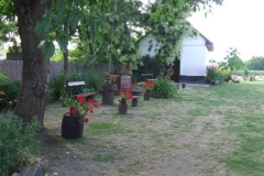 20110722_1888761154_aratas-2011-07-09-fazekasne-161