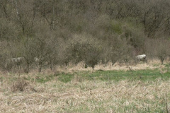 20110509_1398140433_p1080020