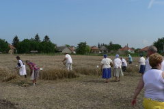 Besenyei aratónap