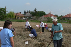 aratonap13_20090707_1003644281