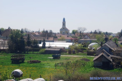 20110509_1981338688_dsc_7774