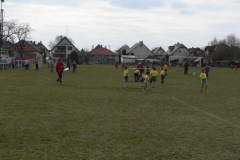 foci7_20090412_1847439061
