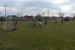 foci8_20090412_1731859300