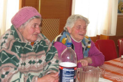 20120425_1615811605_falusi-disznovagas-2012-046201