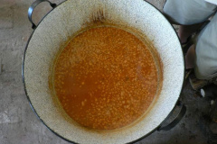 20100608_1611048042_p1060304