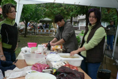 20100915_1087989781_p1060981