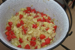 20100927_1434261986_retesnap_2010_649