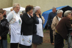 20100927_1498777240_retesnap_2010_668