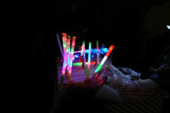 20100927_1582747672_retesnap_2010_869