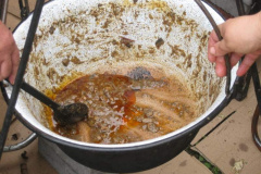 20100927_1699036654_retesnap_2010_713