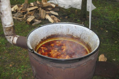 20100927_1895618752_retesnap_2010_679