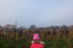 20151110_1718817289_image002201