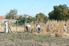 20111010_1099416988_p1080803201