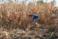20111010_1148088506_p1080716201