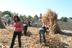 20111010_1223132208_p1080769201