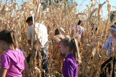 20111010_1271287958_p1080712201