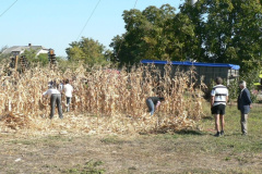 20111010_1311865469_p1080822201
