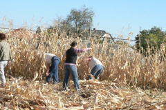 20111010_1717087273_p1080718201