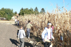 20111010_1936741260_p1080708201