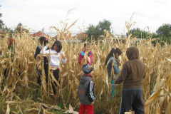 20121029_1008080422_kukoricanap-2012-652201