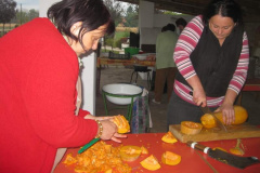 20121029_1146786946_kukoricanap-2012-604201