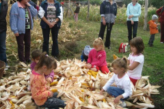 20121029_1283023272_kukoricanap-2012-681201