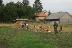 20121029_1791749356_kukoricanap-2012-711201