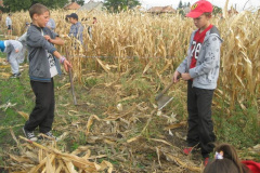 20121029_1836492002_kukoricanap-2012-650201
