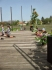 20131018_1217013000_majalis-2013-089