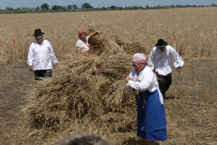aratoverseny2_20080702_1274720493