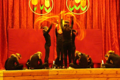 20110509_1175956688_nonapi-musor-amk-2011-024