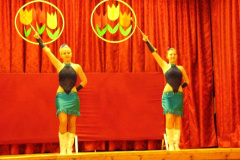 20110509_1295029860_nonapi-musor-amk-2011-048