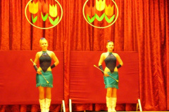 20110509_1379276724_nonapi-musor-amk-2011-047