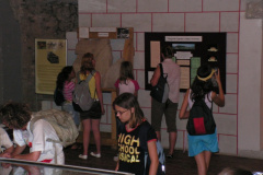 magyarkut14_20080816_1244323410