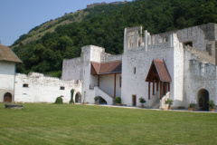 magyarkut17_20080816_1110398437