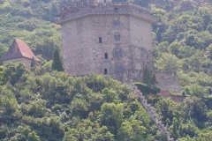 magyarkut2_20080816_1610321864