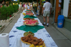 magyarkut2_20080816_1636594209