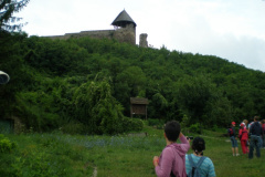 magyarkut2_20080816_1747053176