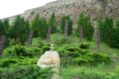 magyarkut3_20080816_1834126116