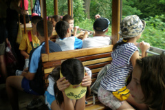 magyarkut5_20080816_1855089356