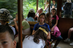 magyarkut7_20080816_1247413358