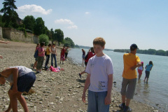 magyarkut9_20080816_1124715445