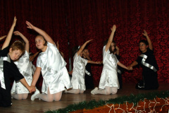 ovibal25_20090227_1456104508