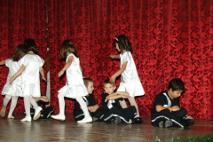 ovibal28_20090227_1476340732