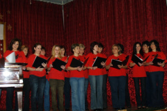 ovibal40_20090227_1762278942