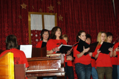 ovibal41_20090227_1856565205