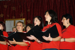 ovibal44_20090227_1785301499