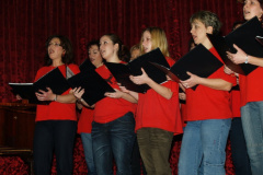 ovibal45_20090227_1098394094